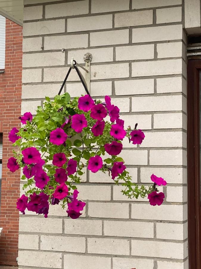 Ferienhaus Bei Engel Ahrensbok Eksteriør bilde